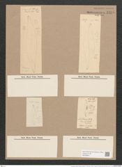 Pleurosigma angulatum aestari [sic?] (Breb.) V.H. (de-Toni-Nr.: Genus 13, Species 1001) Zeichnungen Sammlung Grunow Nr. 1995 (NHMW-BOT-W0368841)